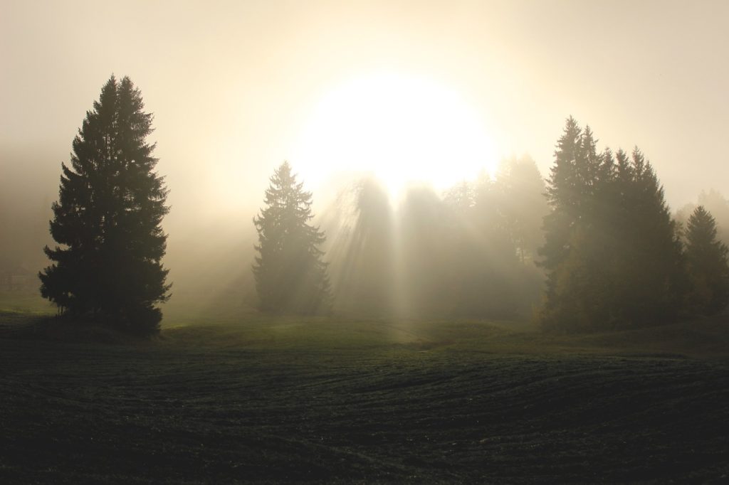 divine light, light, clouds-1296309.jpg