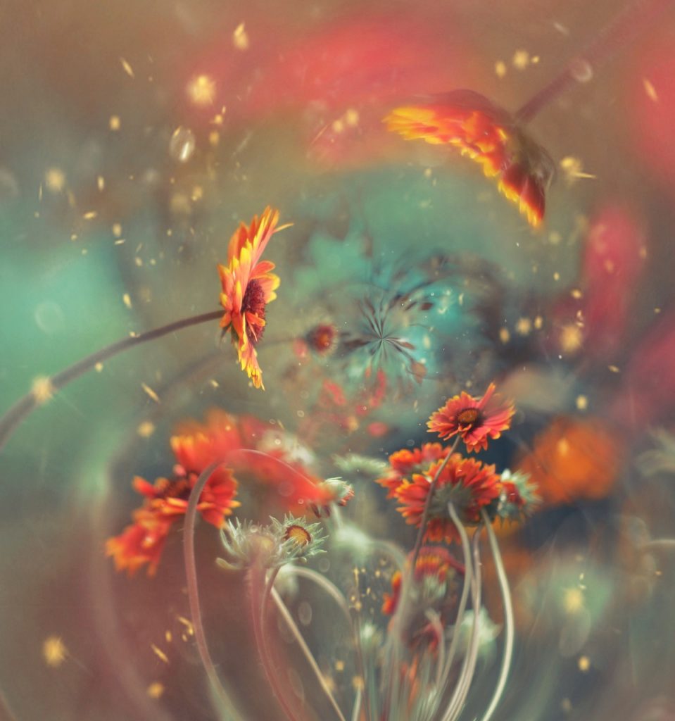 flowers, abstractly, colors-5380747.jpg